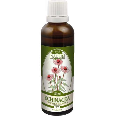 NADĚJE Echinacea třapatka nachová - Echinacea purple 50 ml T7